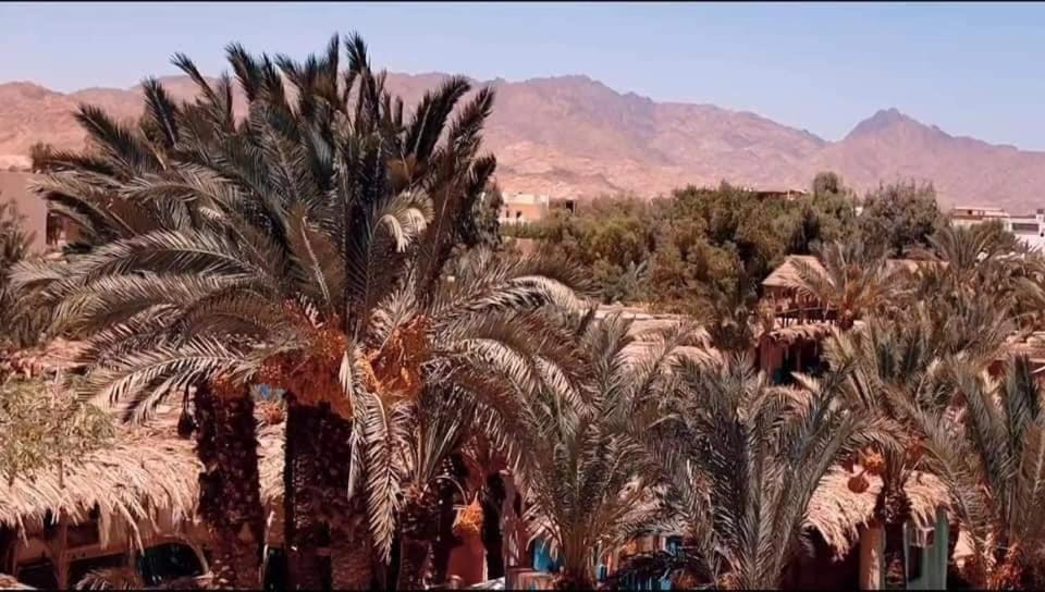 فيلا A5Ena House دهب المظهر الخارجي الصورة